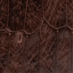 CAFFE ENGRAVED COCCO